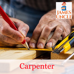 Carpenter Mr. Subhajit Basu in Saradapally